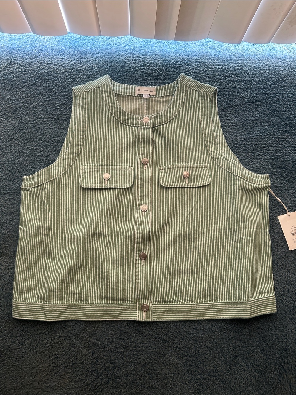 Free Assembly Women's Mint Stripe Sleeveless Button-Front Top